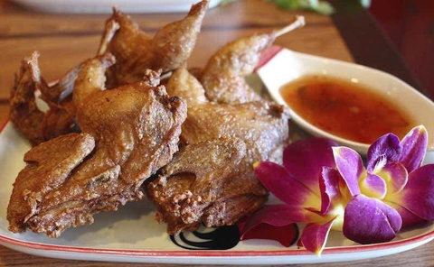 Signor Rossis - Tourism Search 8