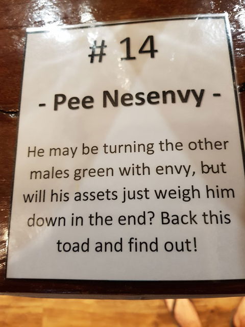 The Gateway Hotel - Tourism Search 6