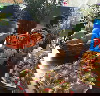 Island fruit Barn - Tourism Search