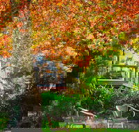 The Woods Ravensbourne - Tourism Search