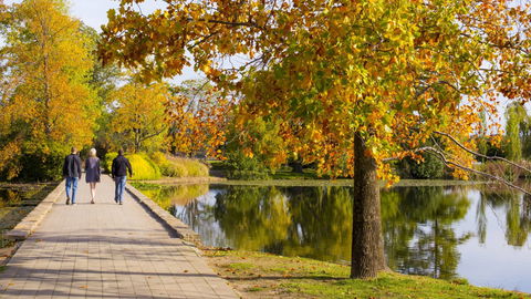 Crowne Plaza Canberra - Tourism Search 17