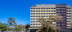 Mantra MacArthur Hotel - Tourism Search 0