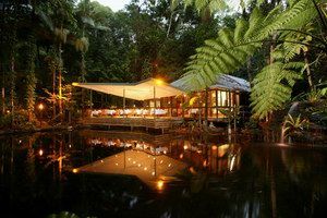 Daintree Eco Lodge & Spa - Tourism Search 2