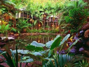 Daintree Eco Lodge & Spa - Tourism Search 0