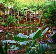 Daintree Eco Lodge  Spa - Tourism Search