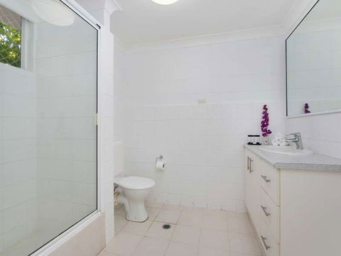 Cairns City Palms - Tourism Search 1