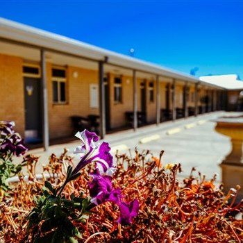 MAS Country Club Motor Inn - Tourism Search 1