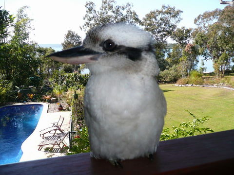 Yarrandabbi Dreaming Boutique B&B - Tourism Search 2