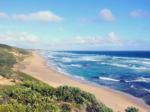 Mercure Portsea - Tourism Search 12