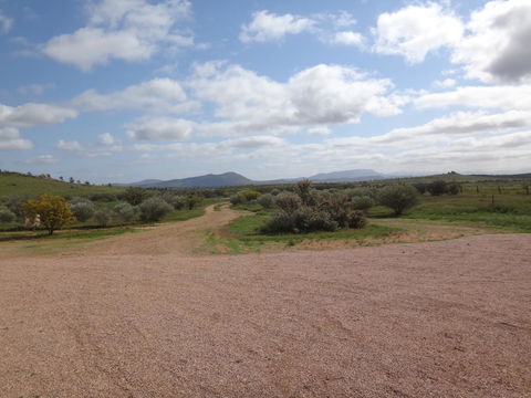 Windana Cottages - Tourism Search 37