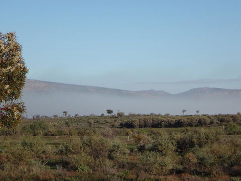 Windana Cottages - Tourism Search 44