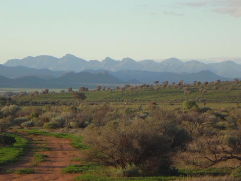 Windana Cottages - Tourism Search 41