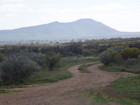 Windana Cottages - Tourism Search 40