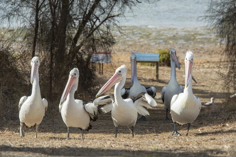 Mercure Kangaroo Island Lodge - Tourism Search 15