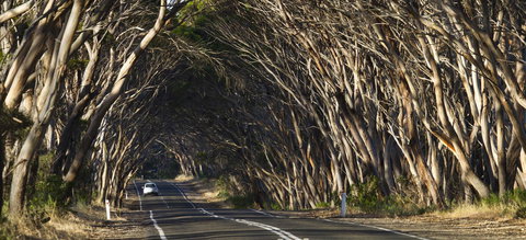 Mercure Kangaroo Island Lodge - Tourism Search 40