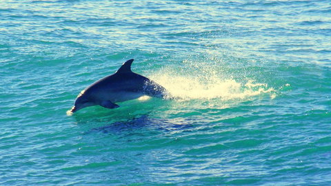 Mollymook Beach Waterfront - Tourism Search 22