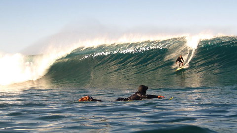 Mollymook Beach Waterfront - Tourism Search 13