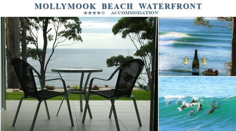 Mollymook Beach Waterfront - Tourism Search 1