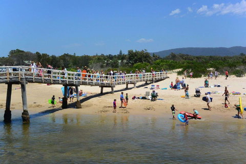 Bellhaven 1, 17 Willow Street - Tourism Search 7