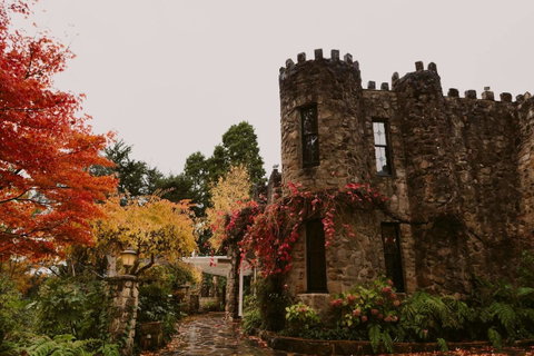 The Manor Basket Range - Tourism Search 15