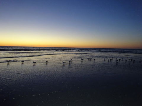 Selene Holiday Apartment @West Beach - Tourism Search 6