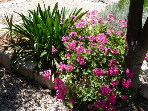 Country Bakehouse Accommodation - Tourism Search 18
