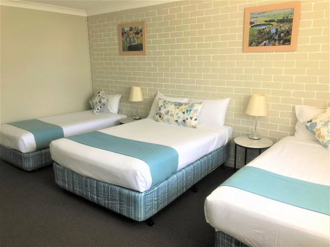 Bathurst Motor Inn - Tourism Search 14