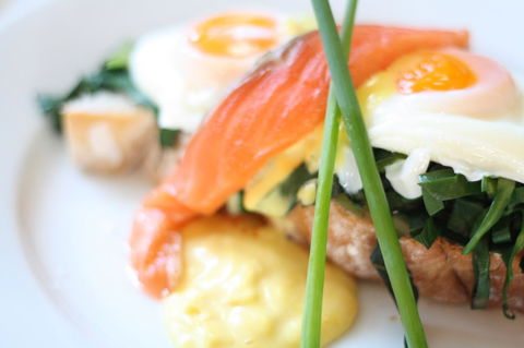 Great Northern Lodge - Tourism Search 12