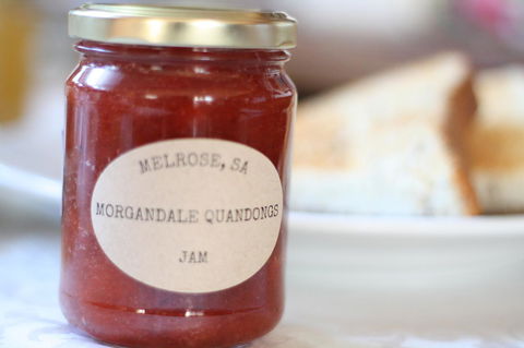 Great Northern Lodge - Tourism Search 10