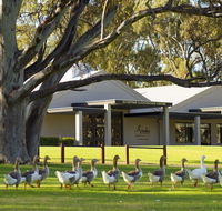 Serafino McLaren Vale - Tourism Search