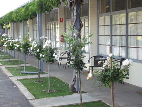 Guichen Bay Motel - Tourism Search 38