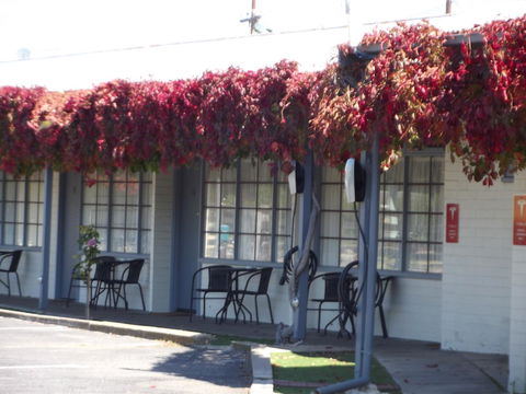 Guichen Bay Motel - Tourism Search 23