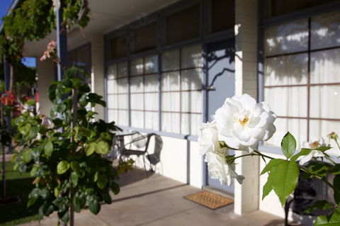 Guichen Bay Motel - Tourism Search 33