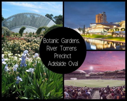 Project BNB On York - Tourism Search 13