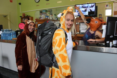 Backpack Oz - Tourism Search 10