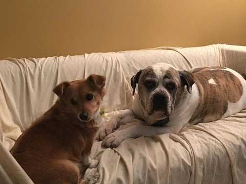 KI Dragonfly Guesthouse - Tourism Search 34