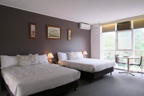 The Lyndoch Motel - Tourism Search 13