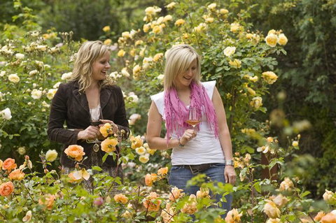 The Lyndoch Motel - Tourism Search 7