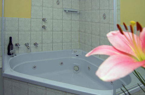 Victoria Hotel Strathalbyn - Tourism Search 15