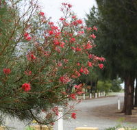 The Heights Bed  Breakfast - Tourism Search