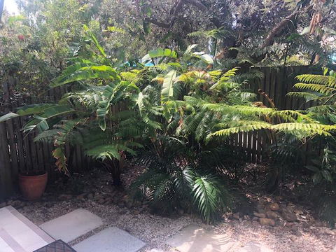 East On Byron - Tourism Search 40