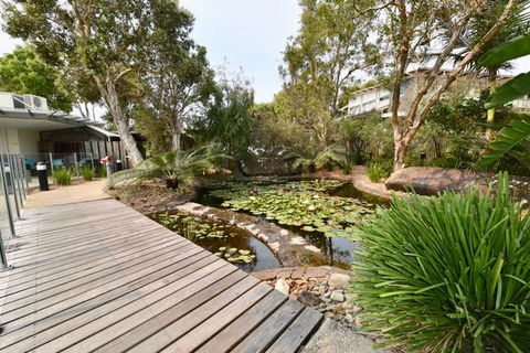 East On Byron - Tourism Search 44