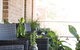 The Parkview Hotel Mudgee - thumb 32
