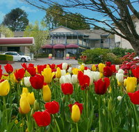 Nesuto Leura Gardens formerly Waldorf Leura Gardens Resort - Tourism Search