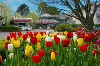 Book Leura Accommodation Vacations Tourism Search Tourism Search