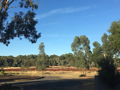 Junee Motor Inn - Tourism Search 24
