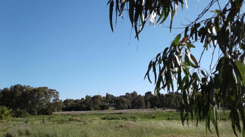 Junee Motor Inn - Tourism Search 8