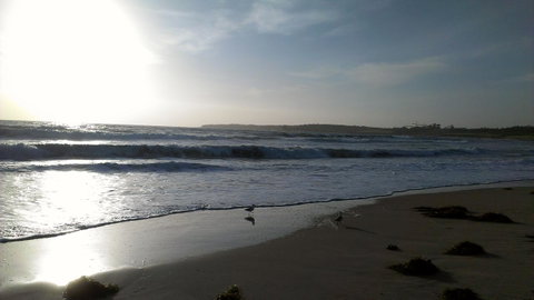 Sweet Spot Shellharbour - Tourism Search 14