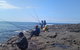 Sweet Spot Shellharbour - thumb 13