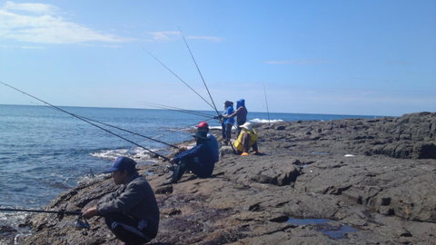 Sweet Spot Shellharbour - Tourism Search 13
